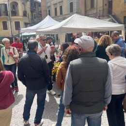 Appuntamenti 18 Maggio 2024
